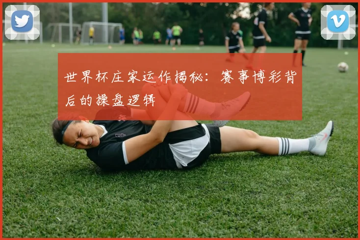 世界杯庄家运作揭秘：赛事博彩背后的操盘逻辑