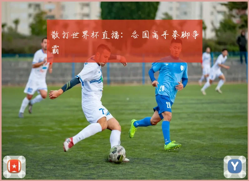 散打世界杯直播：各国高手拳脚争霸
