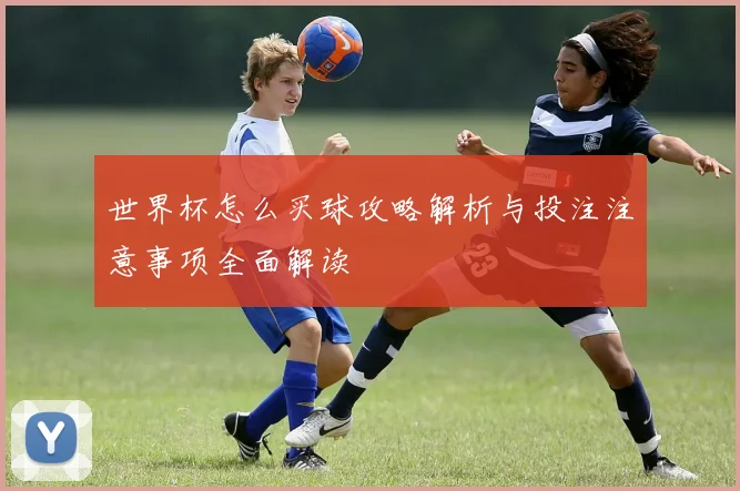 世界杯怎么买球攻略解析与投注注意事项全面解读