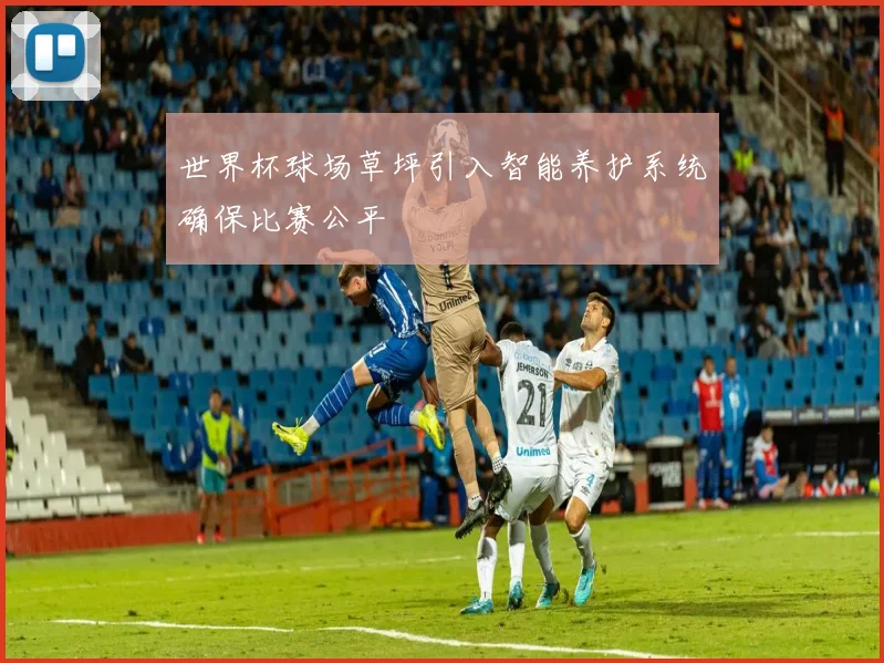 世界杯球场草坪引入智能养护系统确保比赛公平