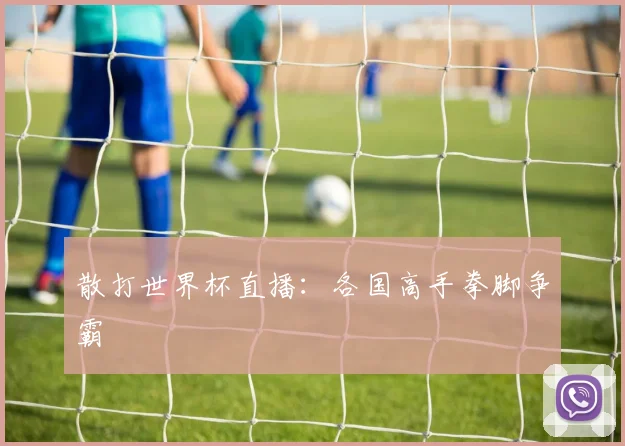 散打世界杯直播：各国高手拳脚争霸