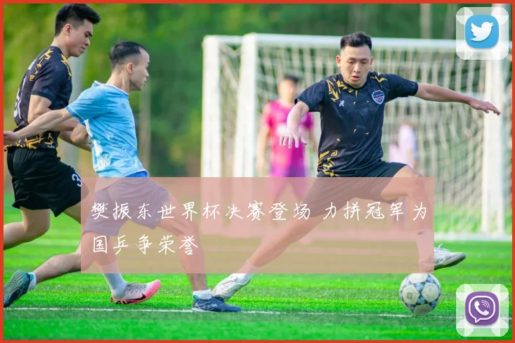 樊振东世界杯决赛登场 力拼冠军为国乒争荣誉